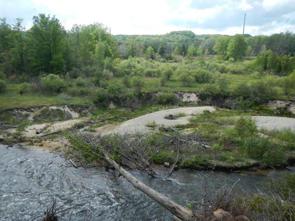 River provide ideal habitat for multiple potential species,