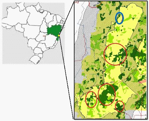 Key findings and next steps Serra do Conduru State Park presented the highest relative abundance of Redbilled curassows in comparison to other Forest fragments in Bahia.