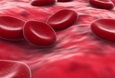 Cont. Wound Characteristics Blood supply: important for wound healing because it is responsible for supplying oxygen and metabolic substrates (a substance upon which a enzyme acts) to the
