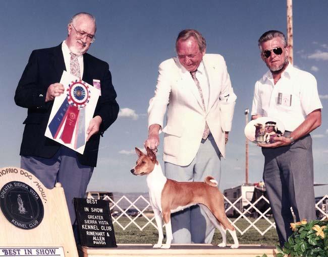 example of the breed. Rose was a linebred show dog who was easy going and great to live with. She could have been any one s pet. I got her first major at Santa Barbara KC when she was six months old.
