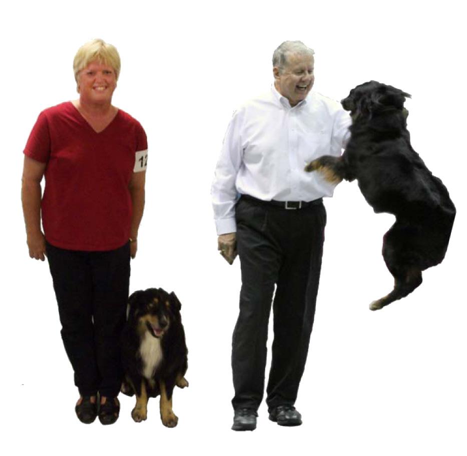 Handling tips to improve your performance. Hands on tips for you and your dog.