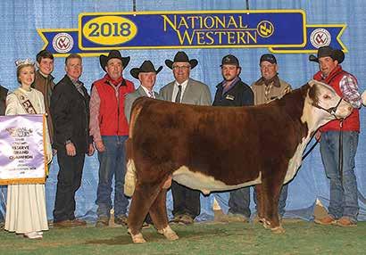 35 $CHB 31 H Deberard 7454 ET {DLF,HYF,IEF} P43799239 POLLED Deberard really grabbed our attention when he walked into the show ring at Denver!