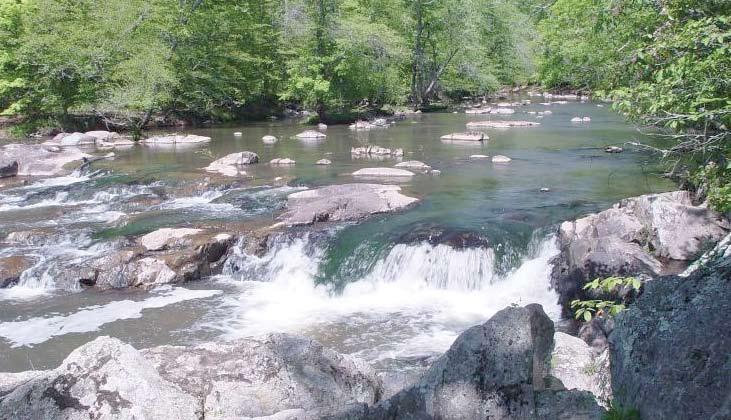 RIVERS, LARGE STREAMS, AND RESERVOIRS Carl Brune The river systems of the southeastern United States are among the world s most diverse and are especially recognized for their diversity of fish,
