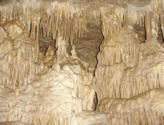 MANAGEMENT GUIDELINES Steve Osborne Jim Godwin The same underground hydrology that created these beautiful limestone formations in Arkansas also supports a number of highly sensitive and specialized