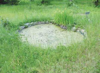 Small colonies of amphibians and reptiles may remain viable if pockets of critical habitat are protected. Install a garden pool. If you build it, frogs will find it. Don t stock it with fish, though.