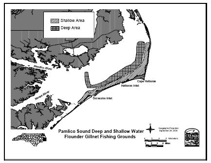 Introduction North Carolina s Pamlico Sound is an important nursery ground for the commercially valuable southern flounder (Paralichthys lethostigma).