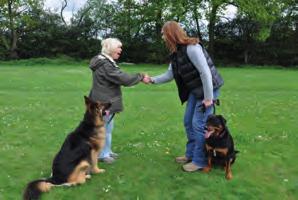 Courses can be tailored around your own club s training structure All GCDS Listed Clubs receive FREE Course materials BENEFITS OF BECOMING A KENNEL CLUB GOOD CITIZEN DOG SCHEME LISTED