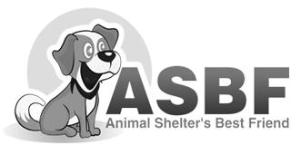 Writing and Much More... Please visit www.animalsheltersbestfriend.