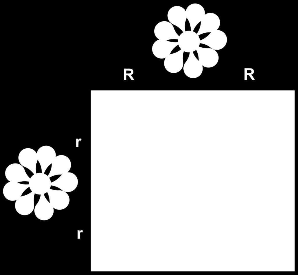INCOMPLETE DOMINANCE Example flower color Red petals are dominant to white petals A flower