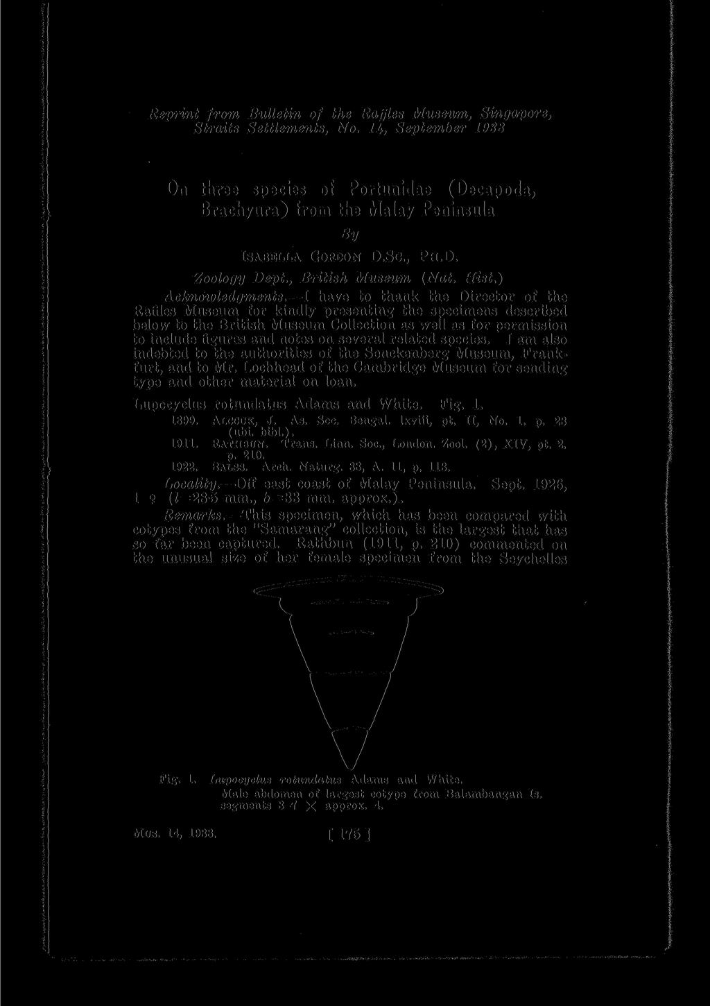 Reprint from Bulletin of the Raffles Museum, Singapore, Straits Settlements, No. 1A, September 1938 On three species of Portunidae (Decapoda, Brachyura) from the Malay Peninsula By ISABELLA GORDON D.