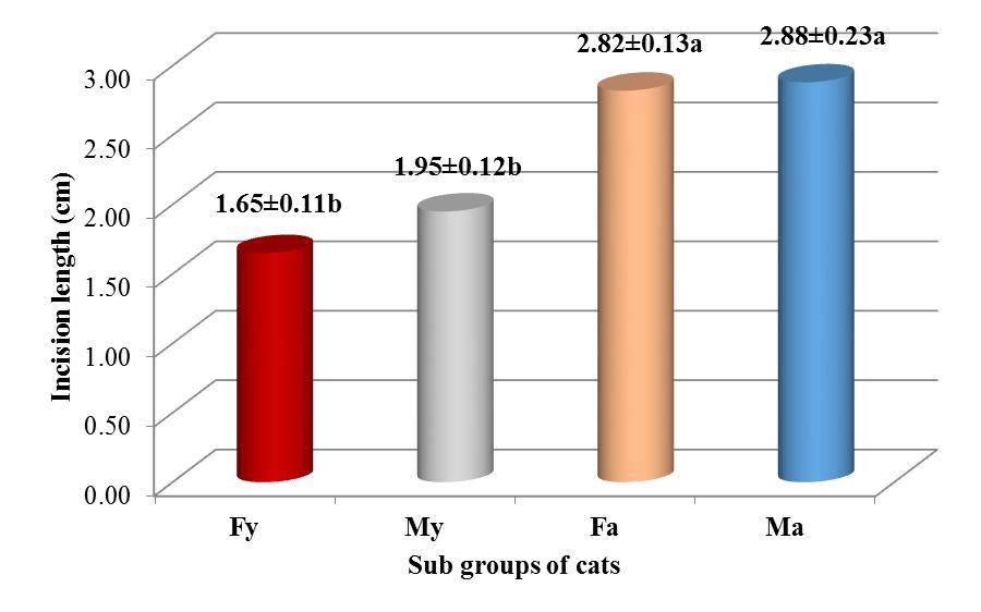 Kiani et al., 2014 Figure 2. Length of skin incision (cm) in cat of Group-F and Group-M LSD (0.05) = 0.4544 SE± = 0.