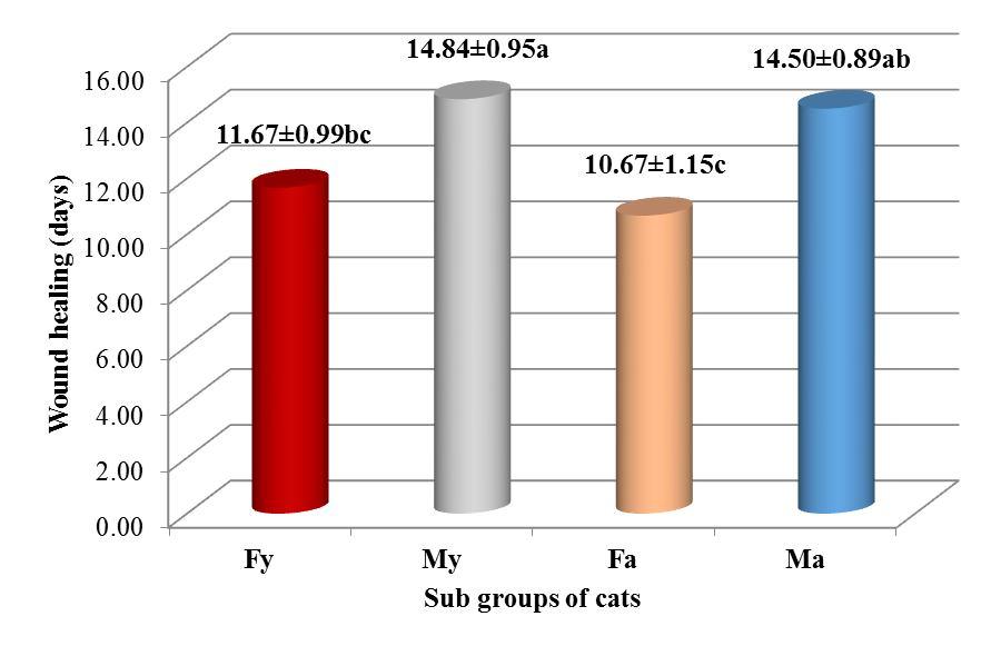 4 Duration (days) of wound healing in cat of Group-F and Group-M Duration of wound healing (days) in all the subgroups of cats which were operated through flank and midline approaches for