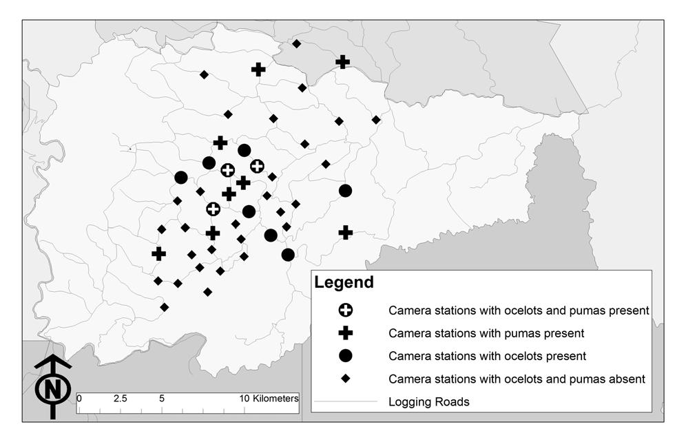 Figure 2.5: The distributions of camera stations with either ocelots (black circles), pumas (crosses) or both ocelots and pumas (circles with white crosses) present are shown.