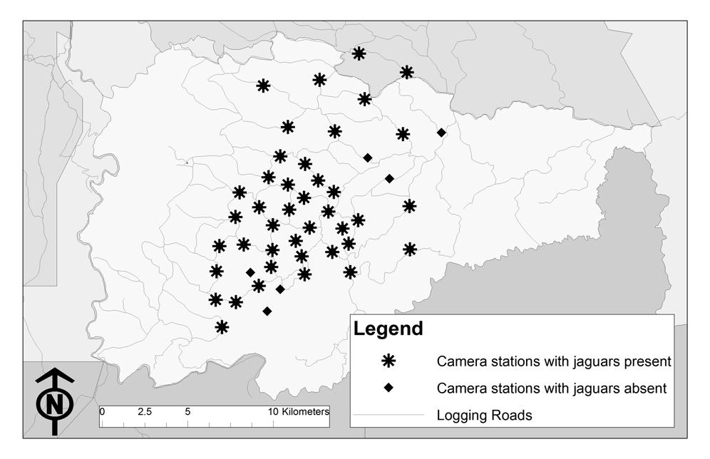 Figure 2.6: The distribution of camera stations in the Mountain Pine Ridge Forest Reserve with jaguars present (represented by asterisks) is shown.