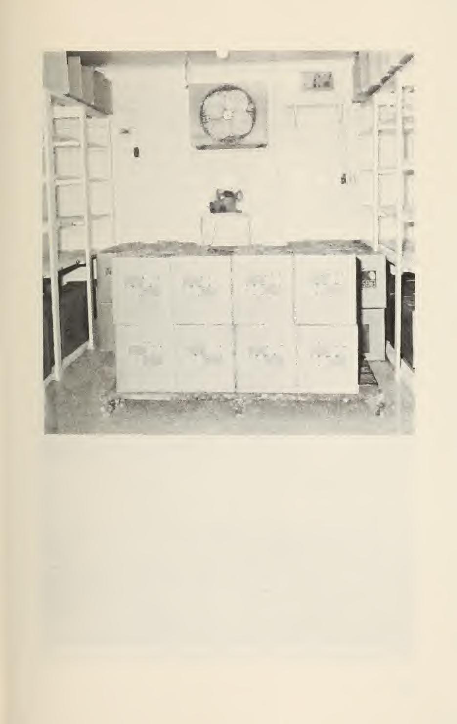 Fig. 6. Eggs packed in boxes or cases can be inverted and stored small end up on pallets without being turned every day.