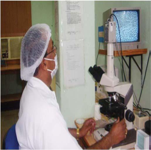 Quality Testing of FS at Andrology Laboratory