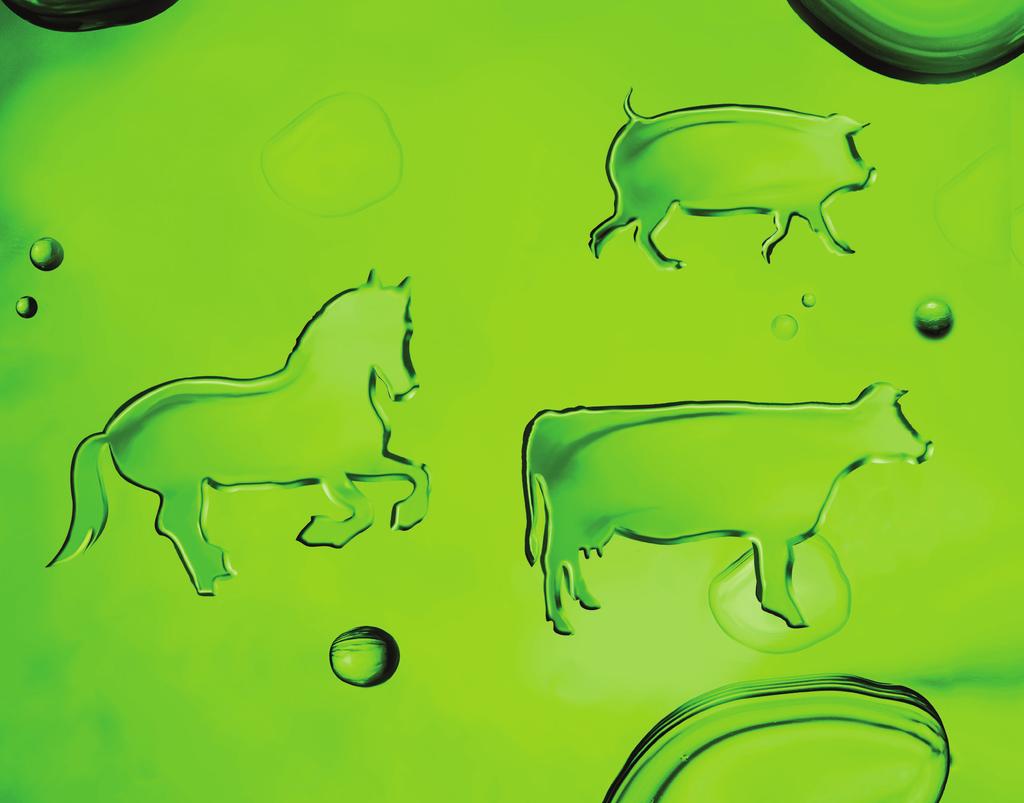 The new meloxicam range for cattle, pigs & horses