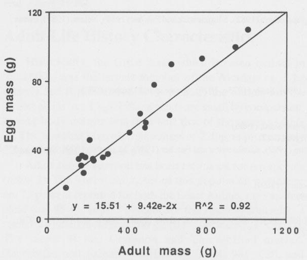 and others 1990a; Manuwal 1979). Within and between year breeding frequencies for Marbled Murrelets are unknown.