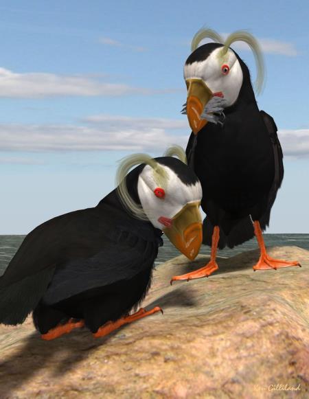 o <C25> Conforming Crest25. For use with the Tufted Puffin. Look in the BODY Section for Easy-Pose Controls. o <C26> Conforming Crest26. For use with the Crested Auklet.