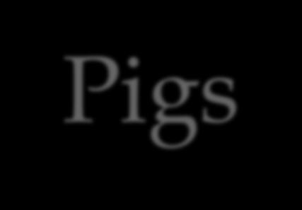 Pigs This process is similar to