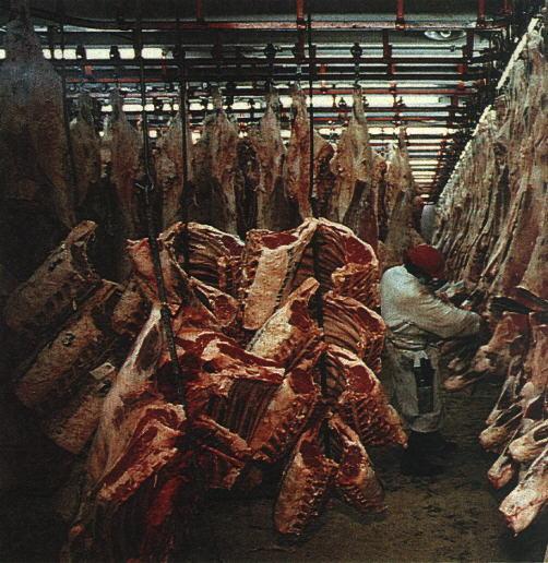 U.S. Commercial Slaughter Houses There are many