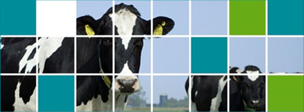 Copenhagen / Denmark Health traits and their role for sustainability improvement of dairy