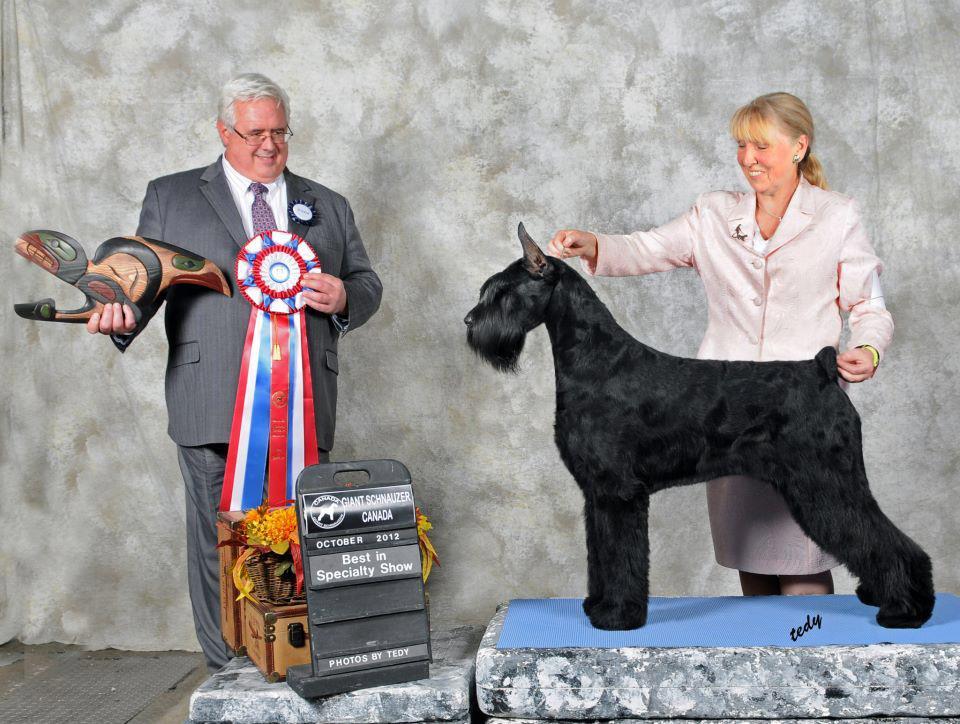 2012 Canadian National Specialty Results Best Of Breed Ch Lowdown Remys Girl V Aerdenhout Best Of Opposite Sex Ch Aerdenhout's Catch The Wind Best Of Winners Montesol JP's Evelin Star Best Puppy In