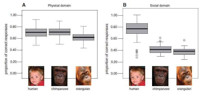 Physical Social Human children only differed from apes in social tests.