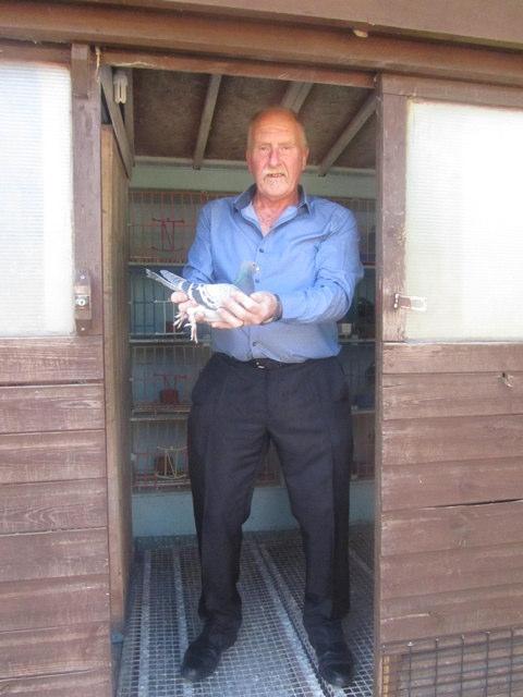 The pigeon is a full brother to a blue cock who last year won 3 rd Section G, 8 th Open NFC Fougeres 7,064 birds and 2 nd Section