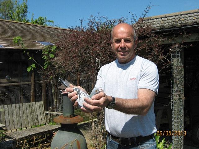 Martin Hayne from Weymouth is 4 th Open and the South West s Section Winner with a yearling chequer cock. This was the 3 rd race this cock has had this year and he had been my first bird every time.