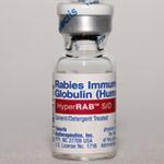 Rabies Immunoglobulin (RIG) Given once (day 0) Immediate, passive antibodies Weight based (20 IU/kg)
