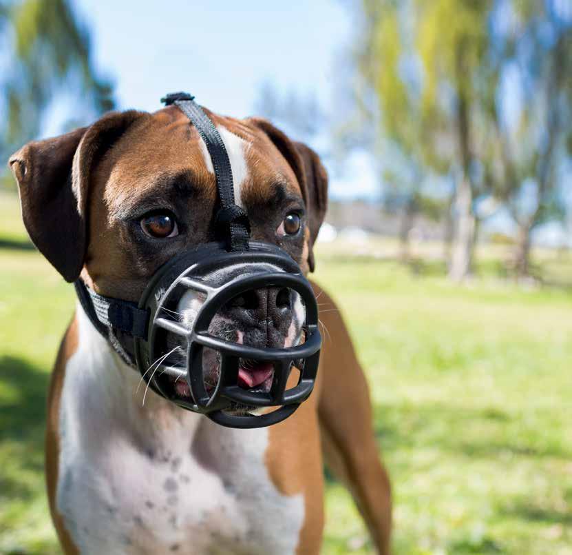 TM Baskerville TM Ultra ULTRA MUZZLE Dogs can wear muzzles for many reasons.