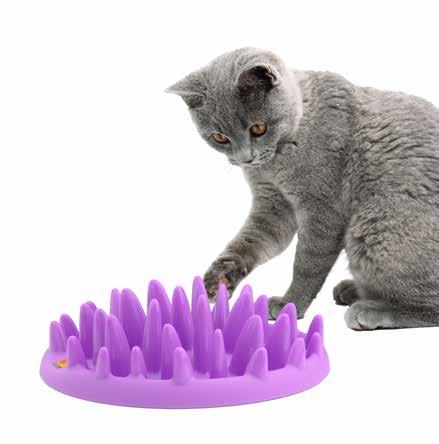 Catch prolongs eating time significantly and this results in a happier, healthier cat that can enjoy the taste