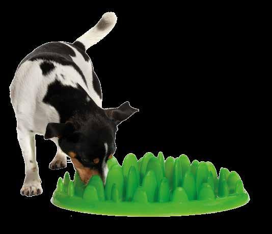 pace can reduce the risk of bloat, a potentially fatal condition for dogs. Green Slow Feeder is easy to use.