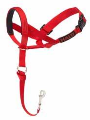 to ensure the headcollar does not rise up into the dog s eyes.