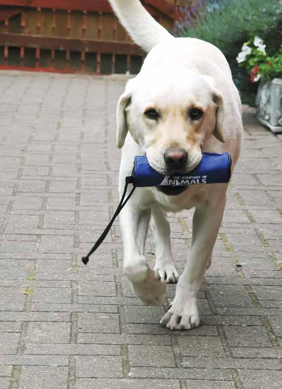 The CLIX Retriever is a clever retrieval training device as treats can be stored inside