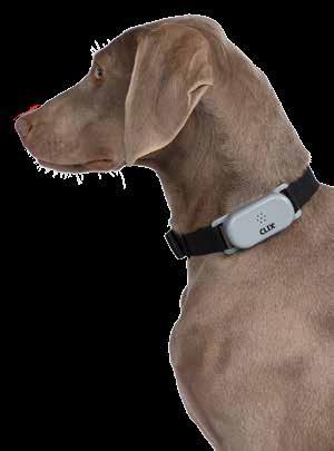 large dogs CLIX Remote Training Collar The CLIX Remote Control Collar can be used to