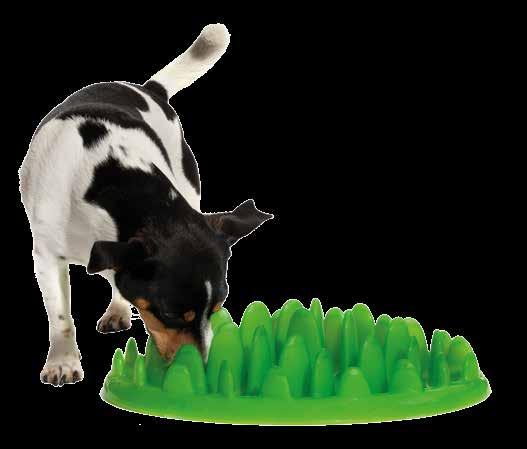 risk of bloat, a potentially fatal condition for dogs. Green Slow Feeder is easy to use.