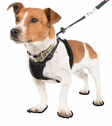 instant control. It is an ideal harness for small and medium sized dogs and is recommended to be used with a HALTI Training Lead.
