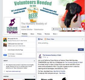 If you are a volunteer for an animal shelter, consider starting a Friends of