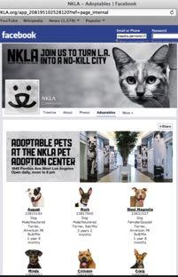 Facebook* For the NKLA Pet Adoption Center, when a visitor clicks on the tab to view adoptable pets, the visitor sees preview photos and a