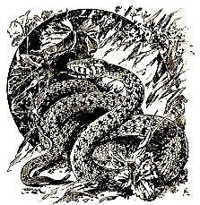 4 dreadful tales about snakes. 6. But Jack told him there was nothing to fear, and he chased the grasssnake until he caught it. 7.