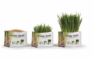 certified organic wheat grass to your pets and stand back to avoid the stampede!
