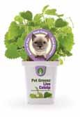 Pet Greens Garden For All Pets Easy to Grow Just Add Water Pet Greens Garden UPC :: 6 69828 55005 2 Pet