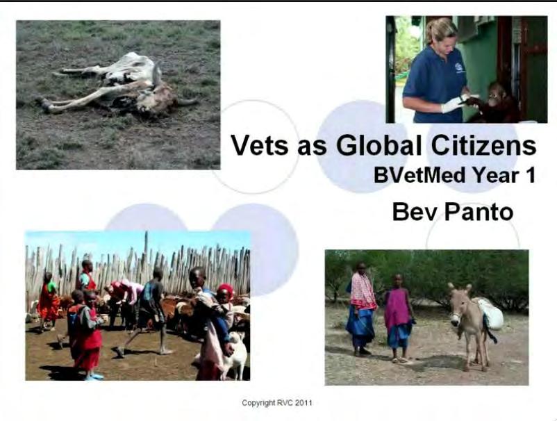 First year Lecture on One Health and Vets as Global Citizens to introduce students to