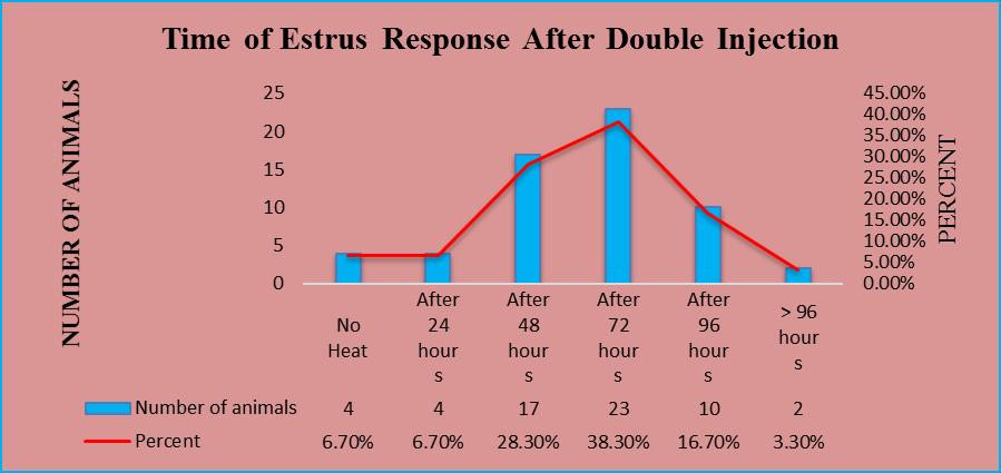 Figure 6: Time of Estrus Response after double PGF2α Injection The analysis for single dose PGF2α injection and estrus manifestation showed that among