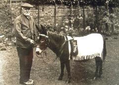 In 1919 I was bought through public subscription by Mrs Heath, of the Peterborough RSPCA.