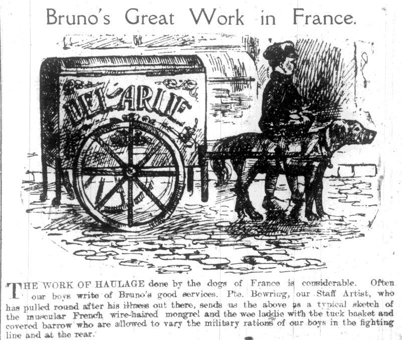 5 The source on this page relates to the role of dogs during wartime, it includes: 1. An Article What did Bruno and the boy do for the servicemen? What do you think Bruno s good services were?