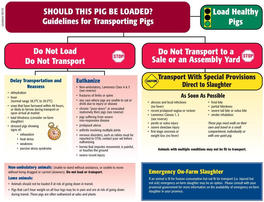 APPENDIX E SPCA Certified Standards for the Raising and Handling of Pigs 53 APPENDIX E: DECISION TREE - SHOULD THIS PIG BE LOADED?