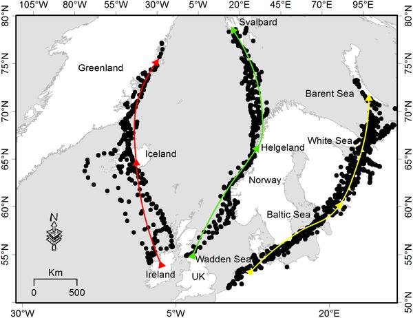 BARNACLE GOOSE Figure 1. Spring migration route for three barnacle goose populations from their wintering to their breeding sites.